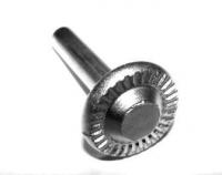 Заклепка Арт. 1908