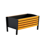 Вазон  Марика