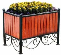 Цветочница Широкая